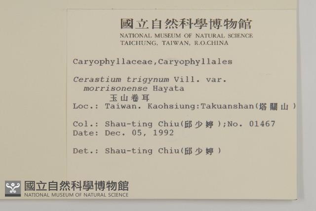 Accession Number:S009731 Collection Image, Figure 2, Total 2 Figures