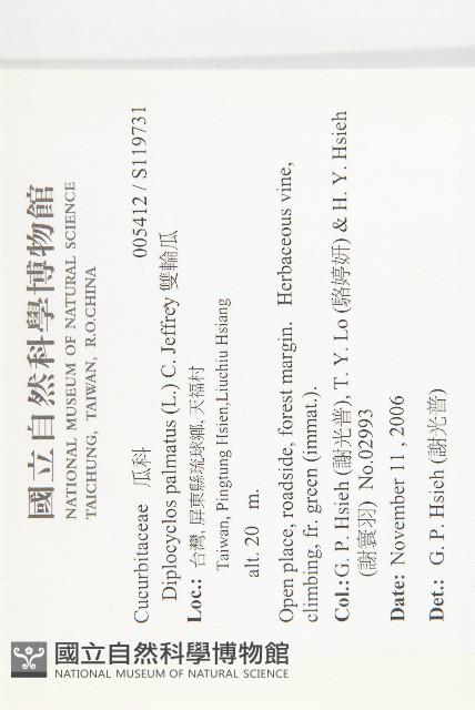 雙輪瓜藏品圖，第2張