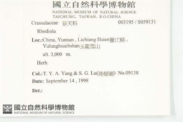 登錄號:S059131藏品圖，第2張