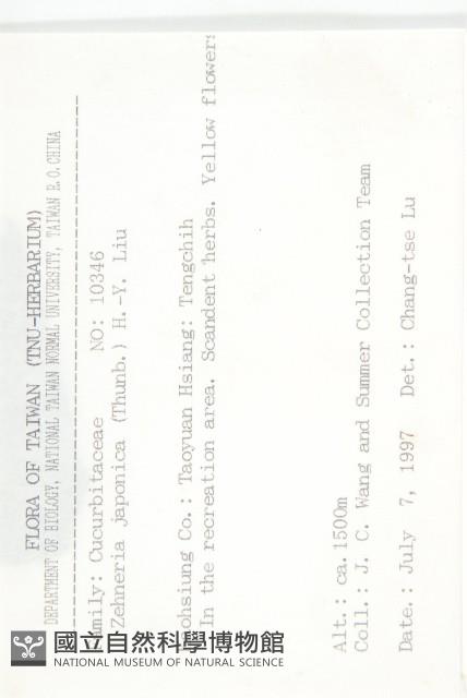 馬交兒藏品圖，第2張