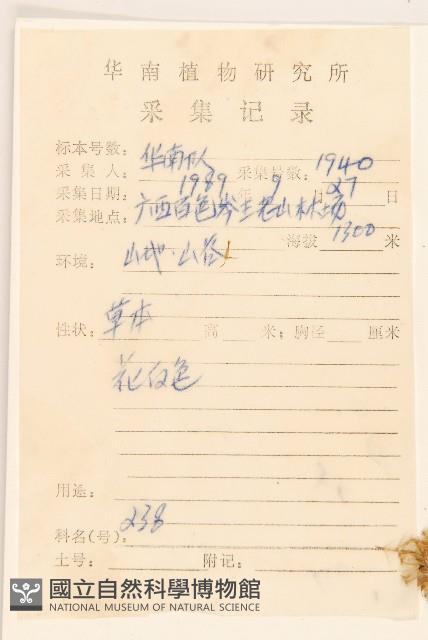 華澤蘭藏品圖，第2張