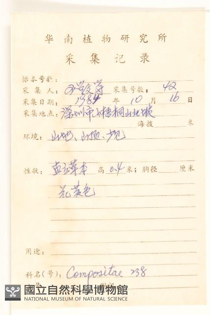 一枝黃花藏品圖，第2張