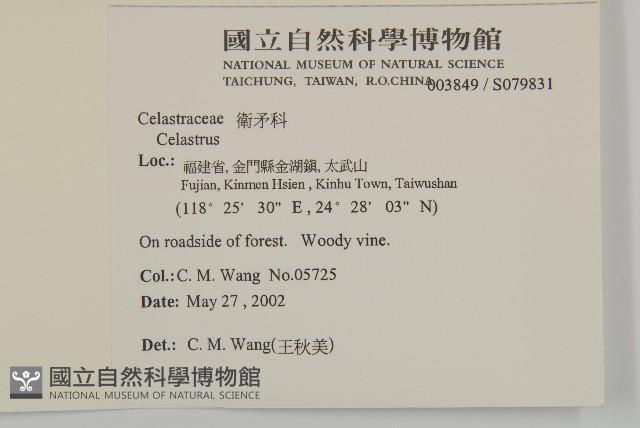 登錄號:S079831藏品圖，第2張