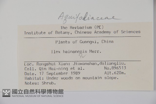 海南冬青藏品圖，第2張