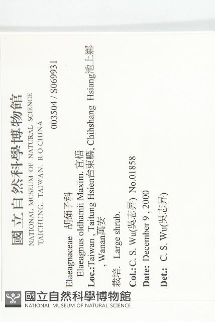 宜梧藏品圖，第2張