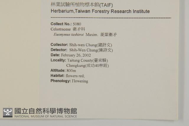 菱葉衛矛藏品圖，第2張