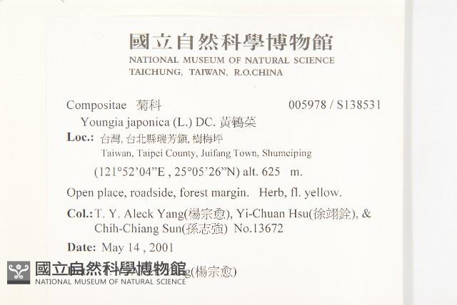 Oriental hawksbeard Collection Image, Figure 2, Total 2 Figures