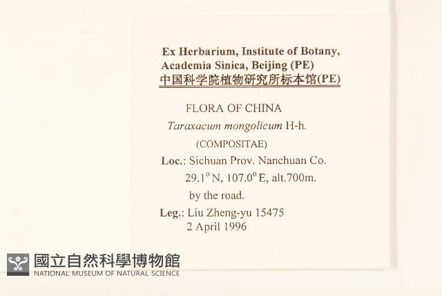 蒲公英藏品圖，第2張