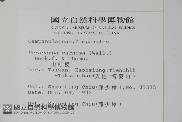 山桔梗藏品圖，第2張