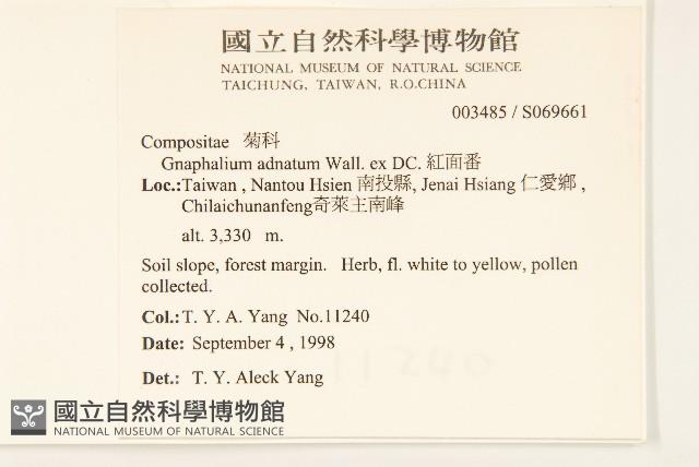 紅面番藏品圖，第5張