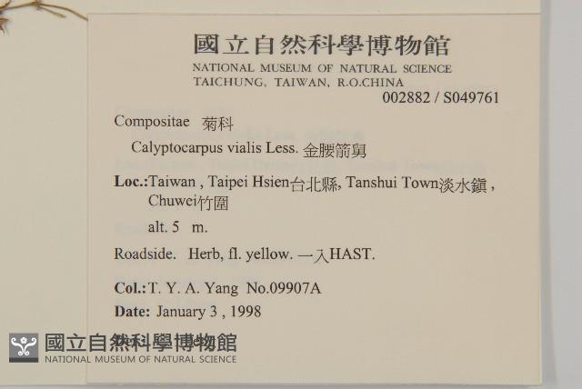 金腰箭舅藏品圖，第2張