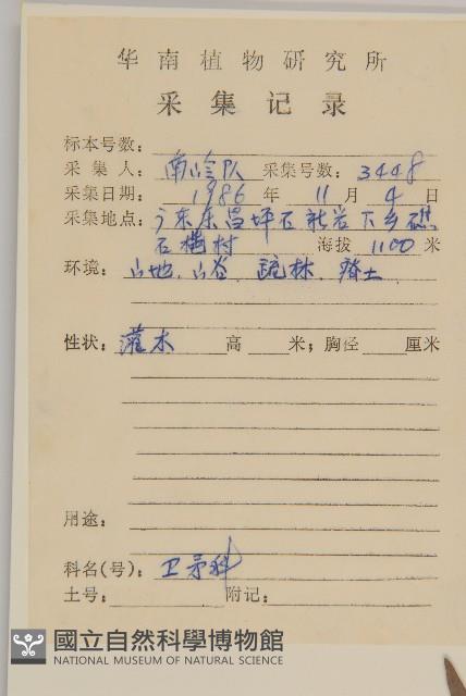 窄翅衛矛藏品圖，第2張