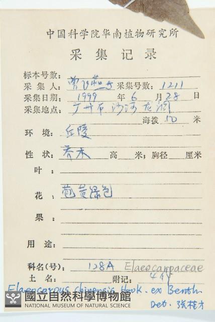 華杜英藏品圖，第2張