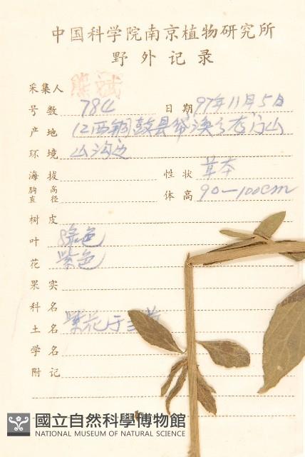 一枝香藏品圖，第2張