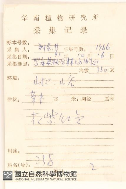 一枝香藏品圖，第2張