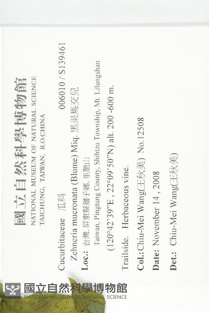 黑果馬交兒藏品圖，第2張