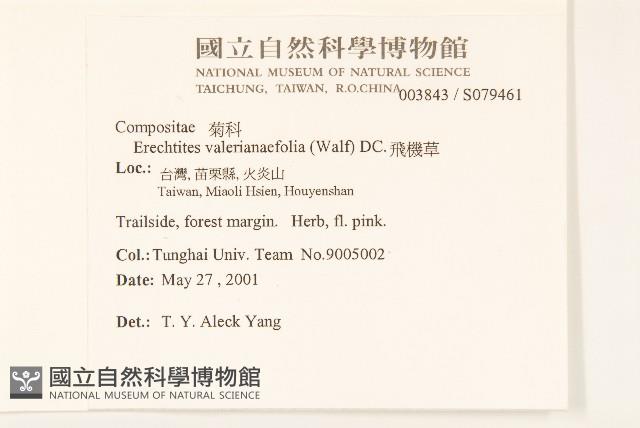 飛機草藏品圖，第2張