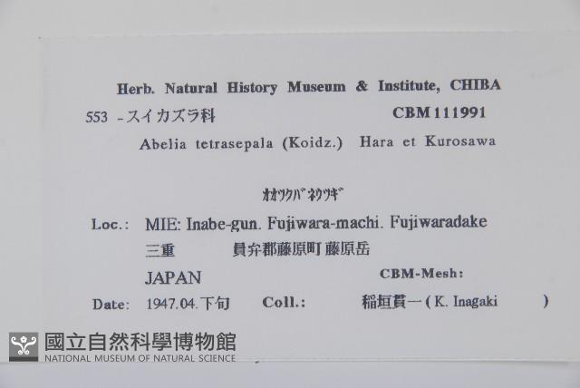 登錄號:S039961藏品圖，第2張