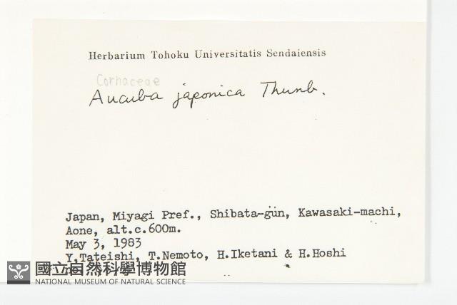 東瀛珊瑚藏品圖，第2張