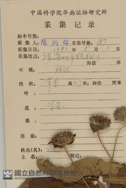 燈豎朽藏品圖，第2張