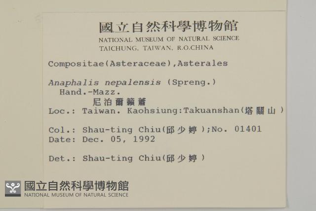 尼泊爾籟簫藏品圖，第2張