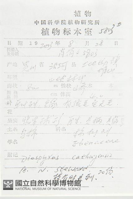 烏柿藏品圖，第2張