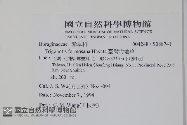 臺灣附地草藏品圖，第2張