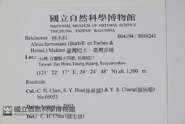 臺灣赤楊、臺灣榿木藏品圖，第2張