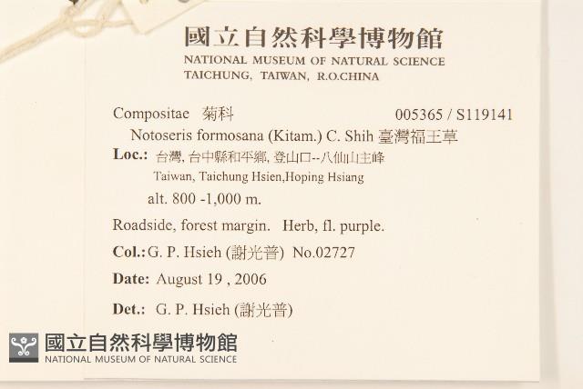 臺灣福王草藏品圖，第2張