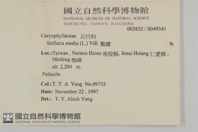 繁縷藏品圖，第2張