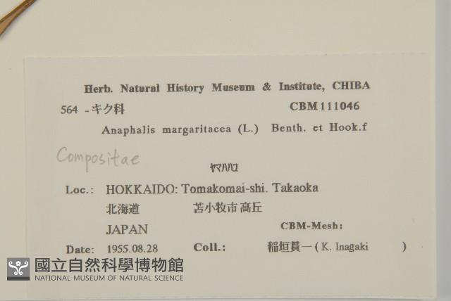 抱莖籟簫藏品圖，第2張