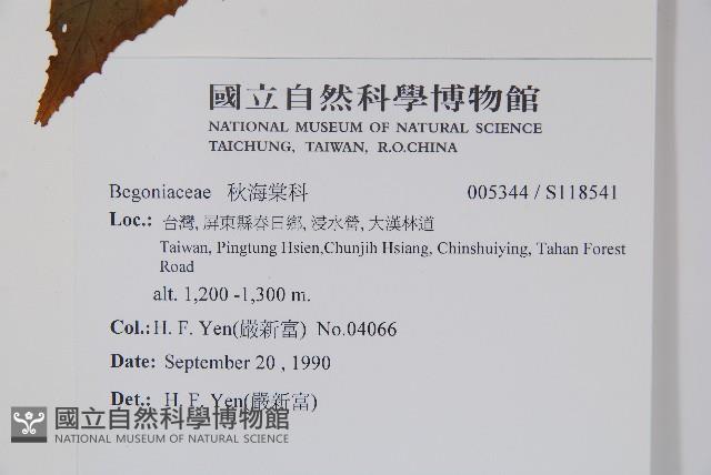 登錄號:S118541藏品圖，第2張