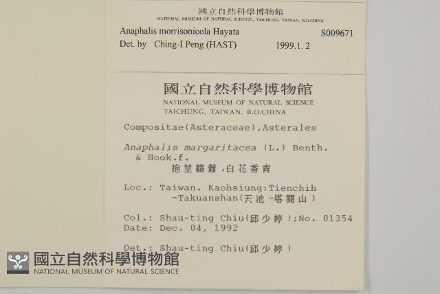 玉山抱莖籟簫藏品圖，第2張