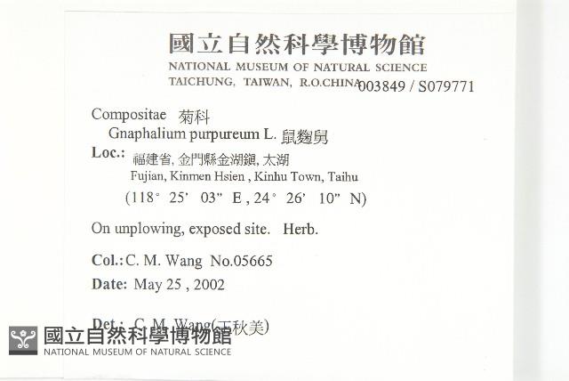 鼠麴舅藏品圖，第2張