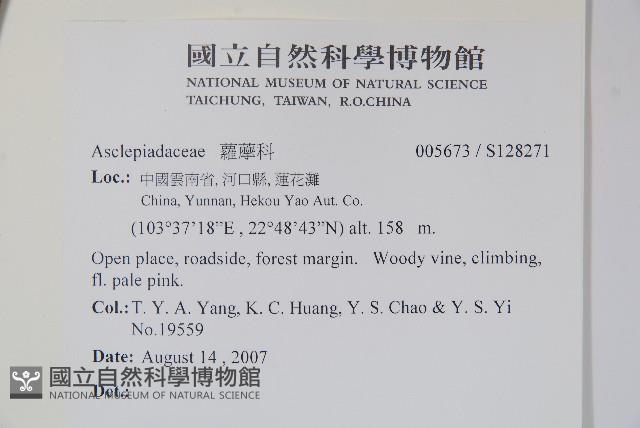 登錄號:S128271藏品圖，第2張