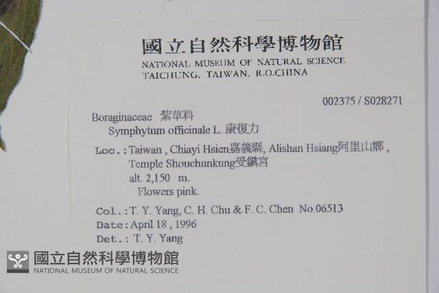 康復力藏品圖，第2張