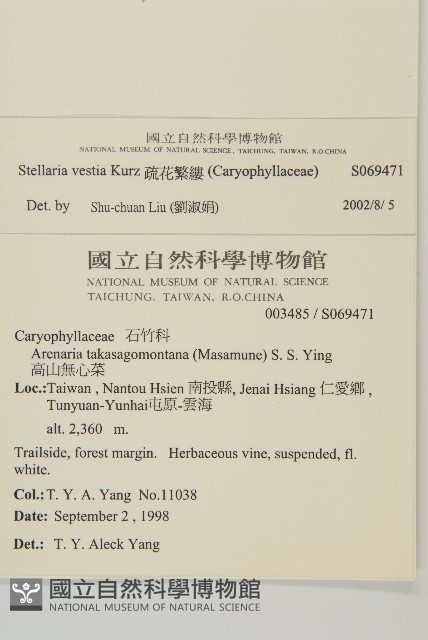 疏花繁縷藏品圖，第2張
