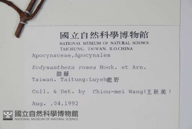 Sour creeper Collection Image, Figure 2, Total 2 Figures