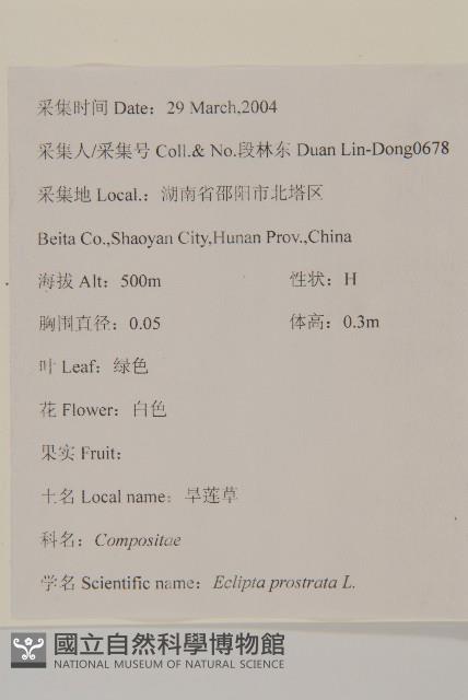 鱧腸藏品圖，第2張