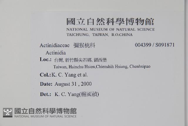 登錄號:S091871藏品圖，第2張