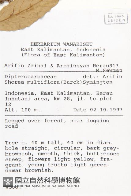 登錄號:S058871藏品圖，第2張