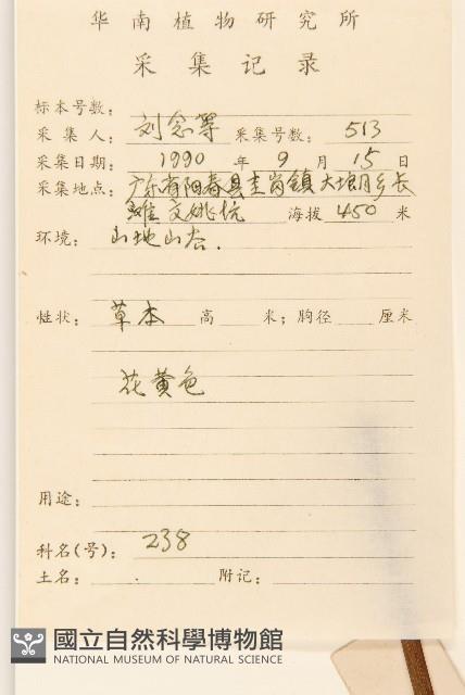 平臥三七草藏品圖，第2張