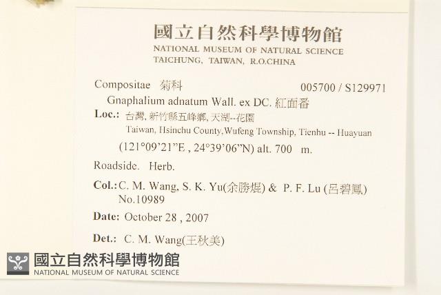 紅面番藏品圖，第2張