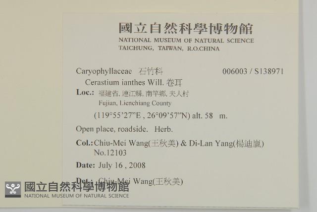 卷耳藏品圖，第2張