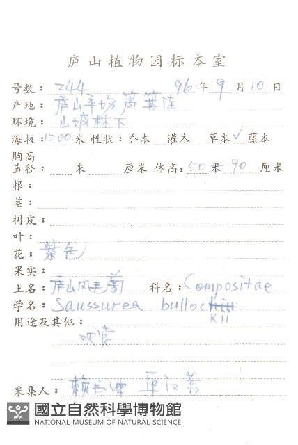 盧山鳳毛菊藏品圖，第2張