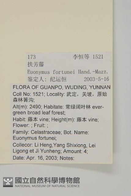 扶芳藤藏品圖，第2張