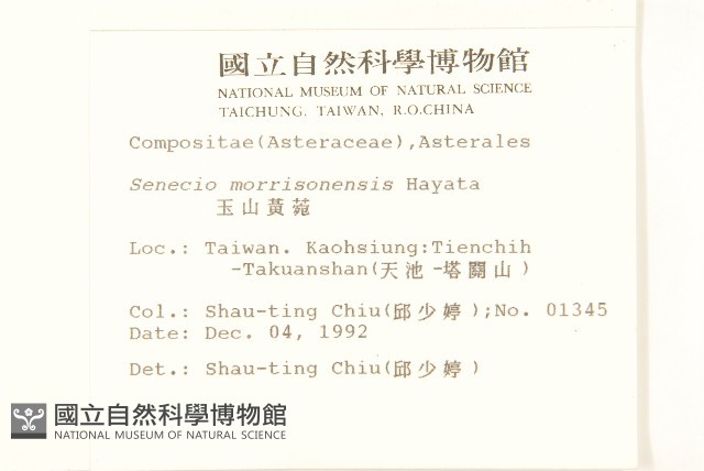 玉山黃菀藏品圖，第2張