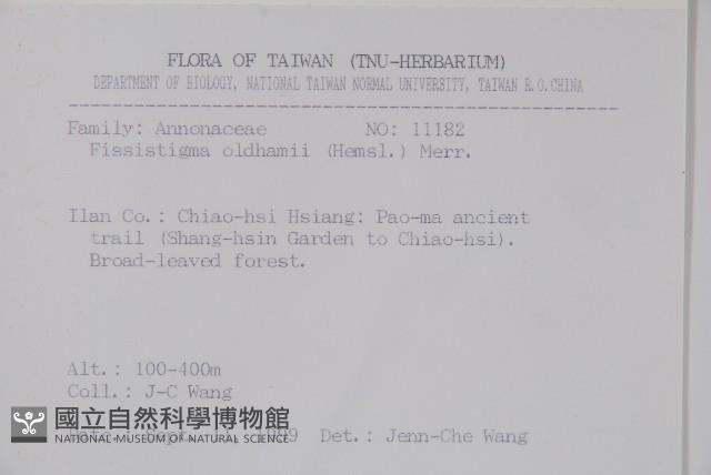 瓜馥木藏品圖，第2張