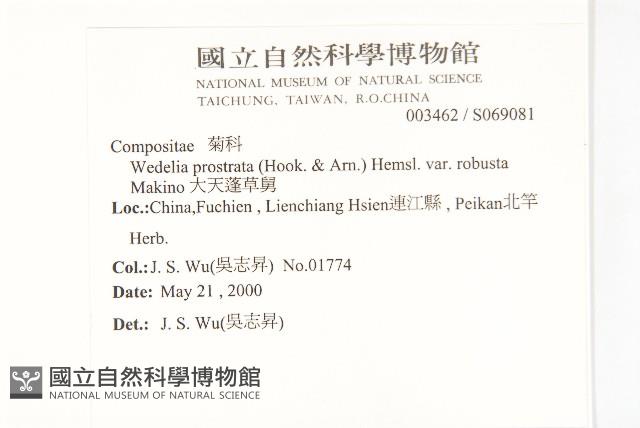 大天蓬草舅藏品圖，第2張