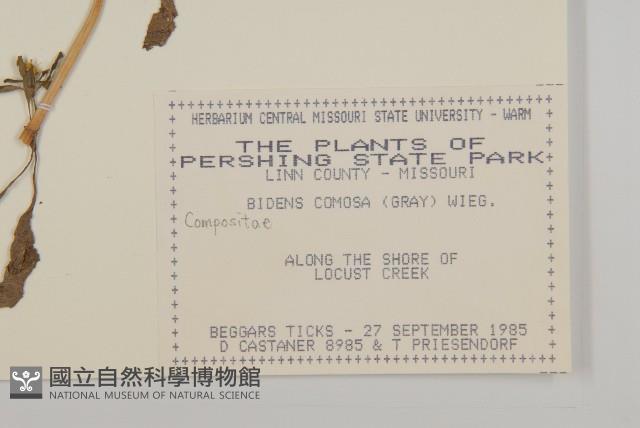 登錄號:S080781藏品圖，第2張